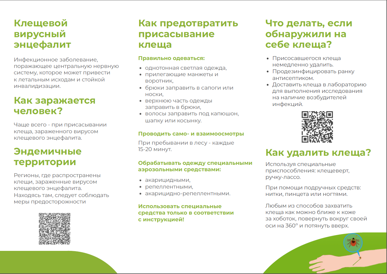 «Горячая линия» по профилактике клещевого энцефалита.
